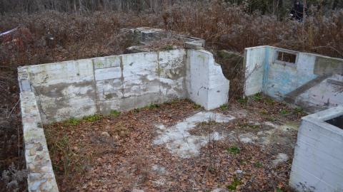 Ol' Finch's Foundations - DSC_0701.JPG