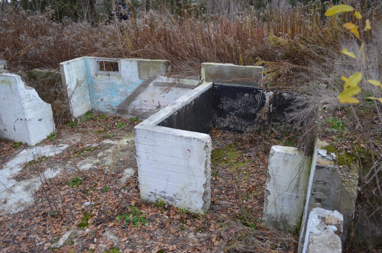 Ol' Finch's Foundations - DSC_0700.JPG