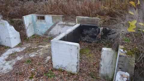 Ol' Finch's Foundations photo 4