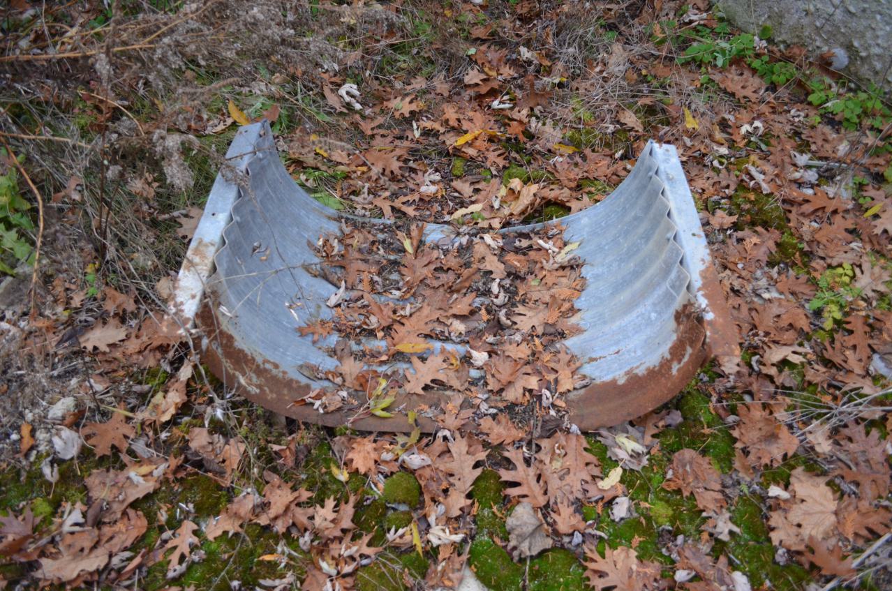 Ol' Finch's Foundations - DSC_0699.JPG