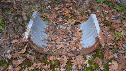 Ol' Finch's Foundations - DSC_0699.JPG