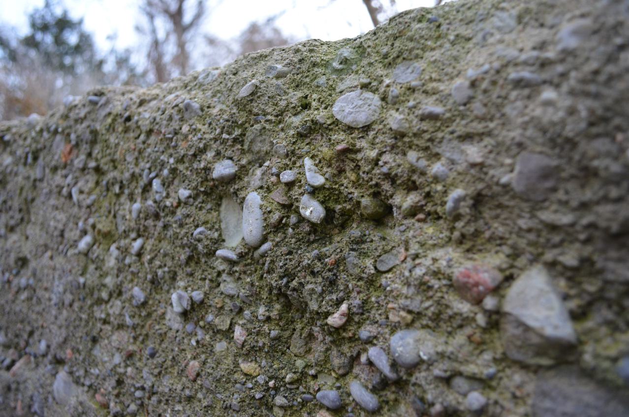 Ol' Finch's Foundations - DSC_0698.JPG