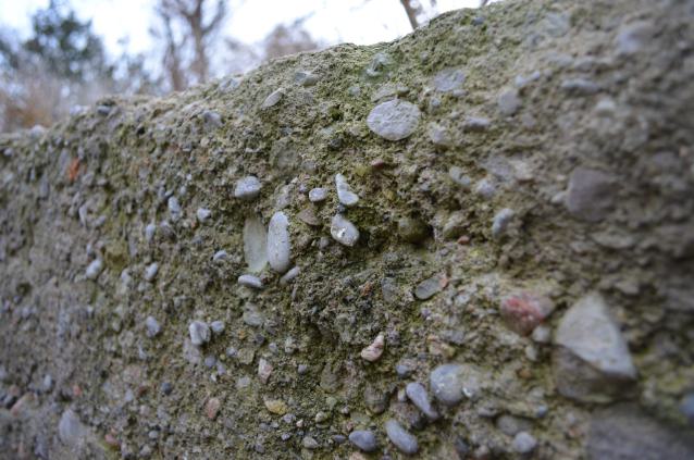 Ol' Finch's Foundations - DSC_0698.JPG