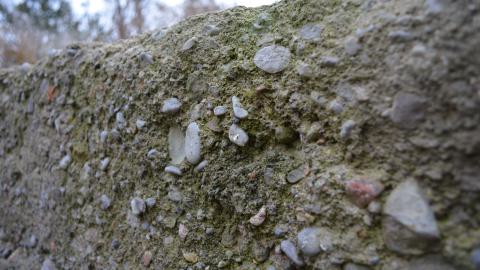 Ol' Finch's Foundations - DSC_0698.JPG