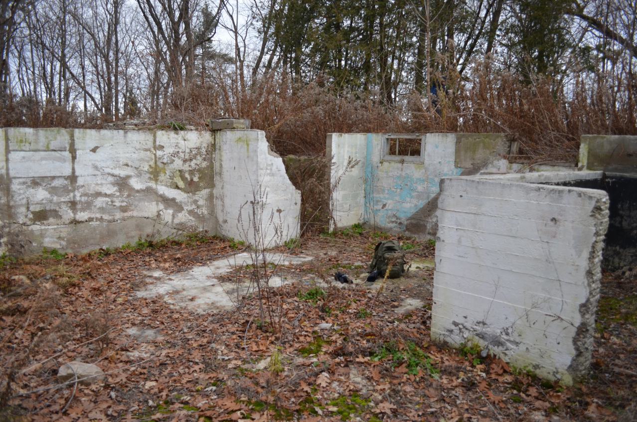 Ol' Finch's Foundations - DSC_0697.JPG