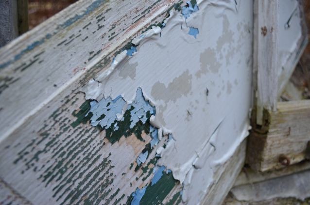 Ol' Finch's Foundations - DSC_0696.JPG