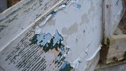 Ol' Finch's Foundations - DSC_0696.JPG