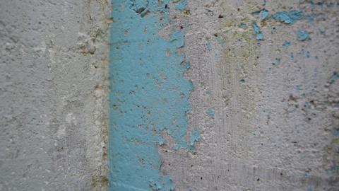 Ol' Finch's Foundations - DSC_0694.JPG