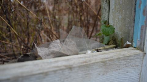 Ol' Finch's Foundations - DSC_0693.JPG