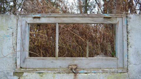 Ol' Finch's Foundations - DSC_0692.JPG