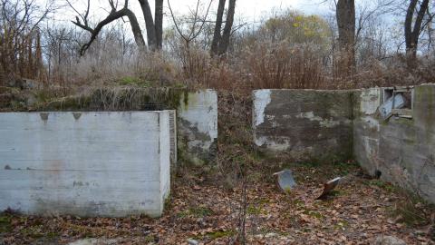 Ol' Finch's Foundations - DSC_0691.JPG