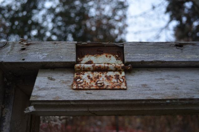 Ol' Finch's Foundations photo 2