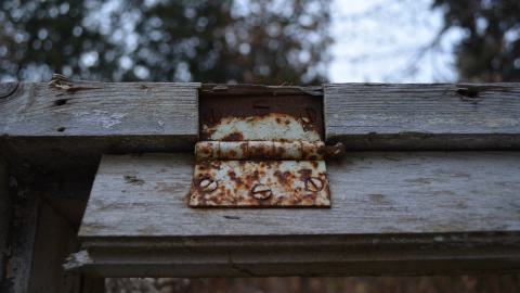 Ol' Finch's Foundations photo 2