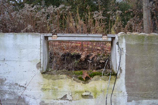 Ol' Finch's Foundations - Toronto, Ontario