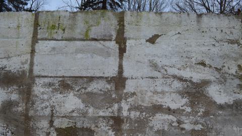 Ol' Finch's Foundations - DSC_0685.JPG