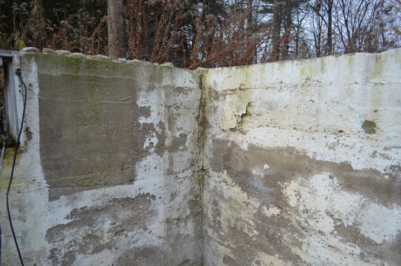 Ol' Finch's Foundations - DSC_0684.JPG