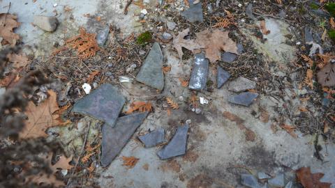 Ol' Finch's Foundations - DSC_0683.JPG