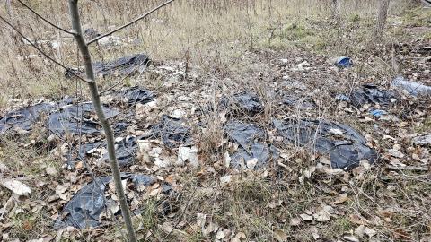 Rusty McCrusty - 1000007277.jpg