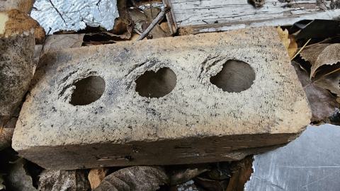 Rusty McCrusty - 1000007274.jpg