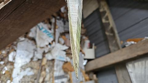 Rusty McCrusty - 1000007270.jpg