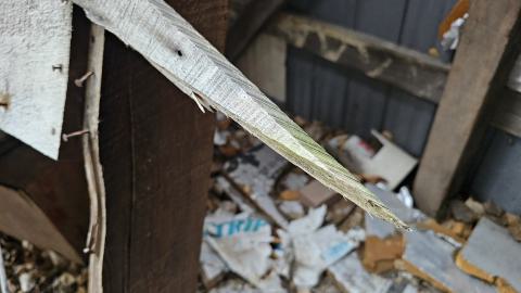 Photo from Rusty McCrusty