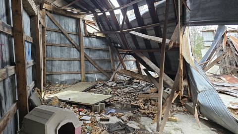 Rusty McCrusty - 1000007268.jpg