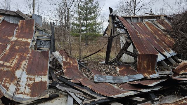 Rusty McCrusty - 1000007267.jpg