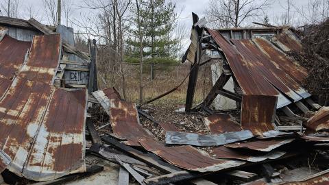 Rusty McCrusty - 1000007267.jpg