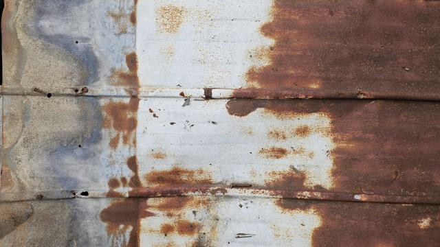 Rusty McCrusty - 1000007266.jpg