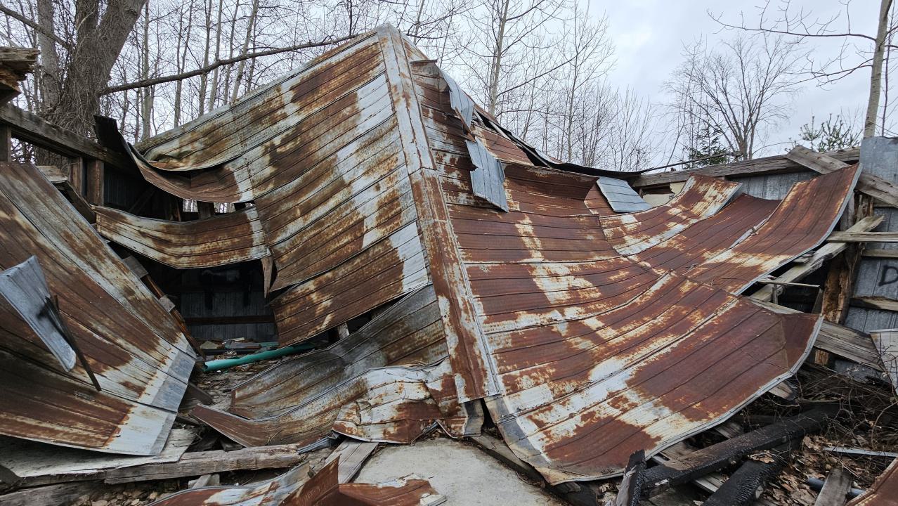 Rusty McCrusty - 1000007264.jpg