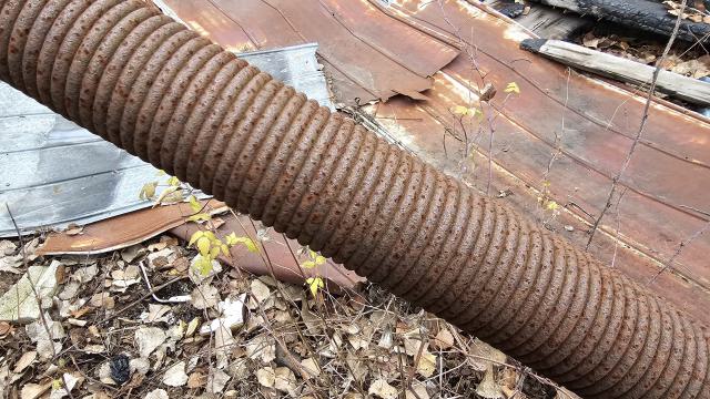 Rusty McCrusty - 1000007263.jpg