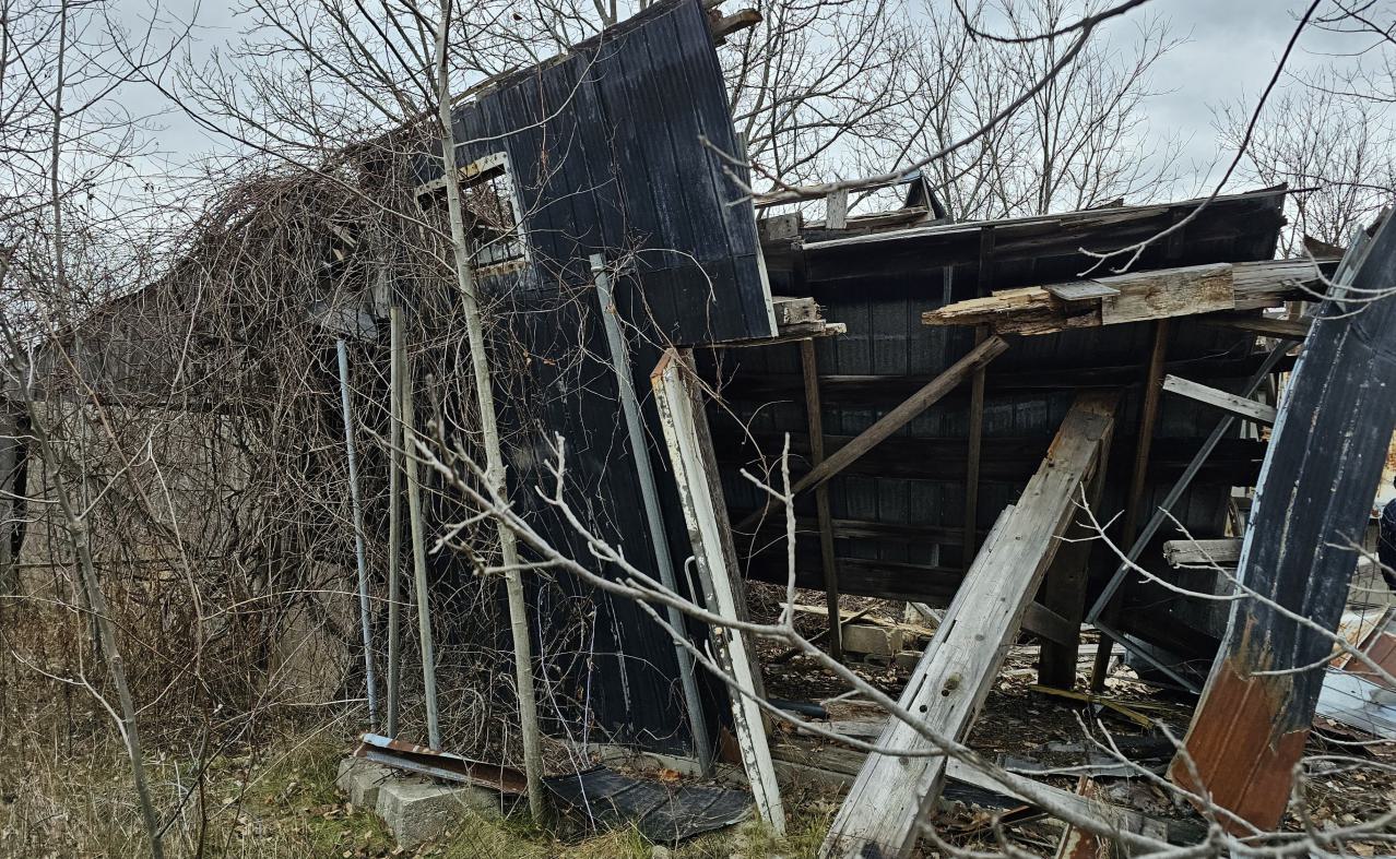 Rusty McCrusty - 1000007262.jpg