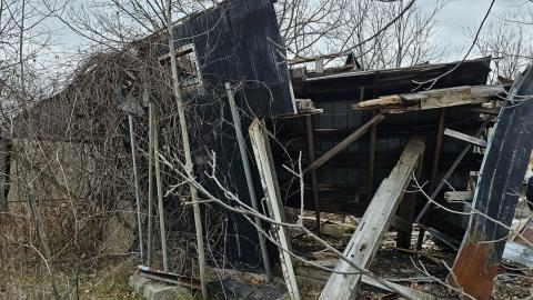 Rusty McCrusty - 1000007262.jpg