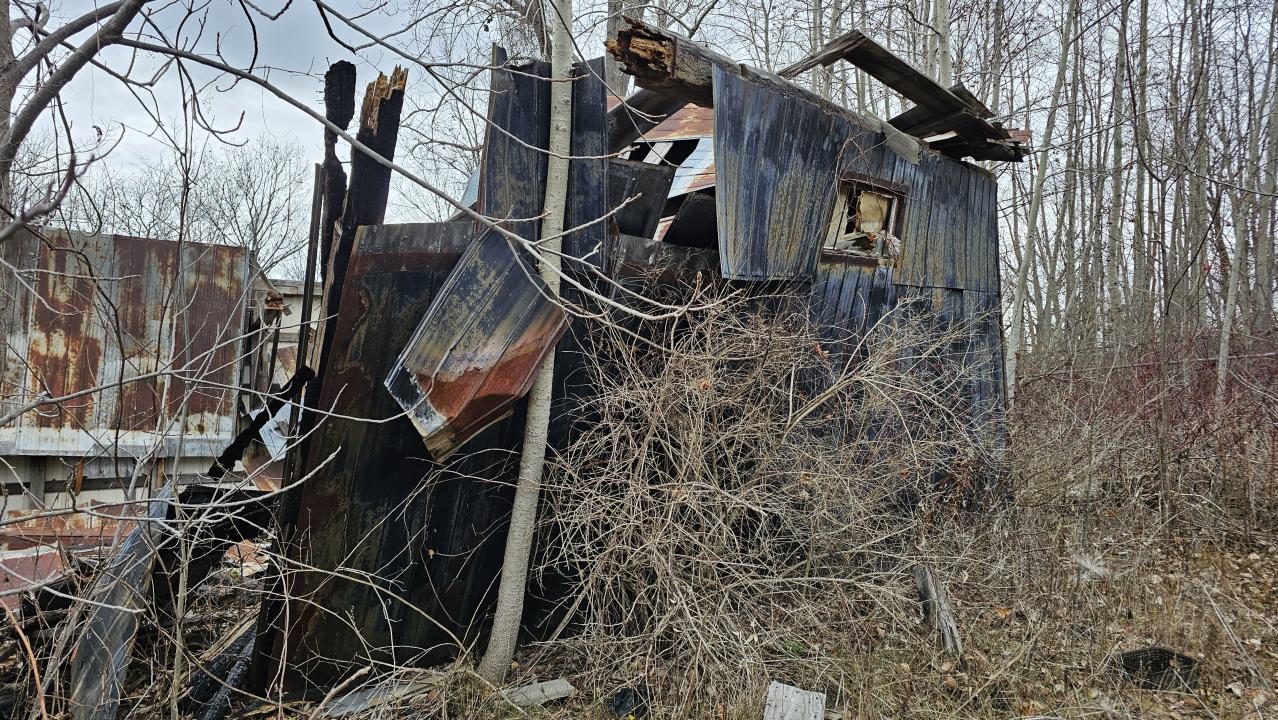 Rusty McCrusty - 1000007261.jpg