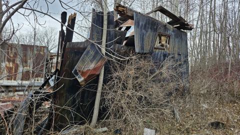 Rusty McCrusty - 1000007261.jpg