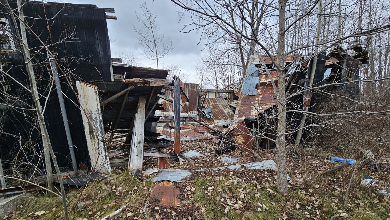 Rusty McCrusty - 1000007260.jpg