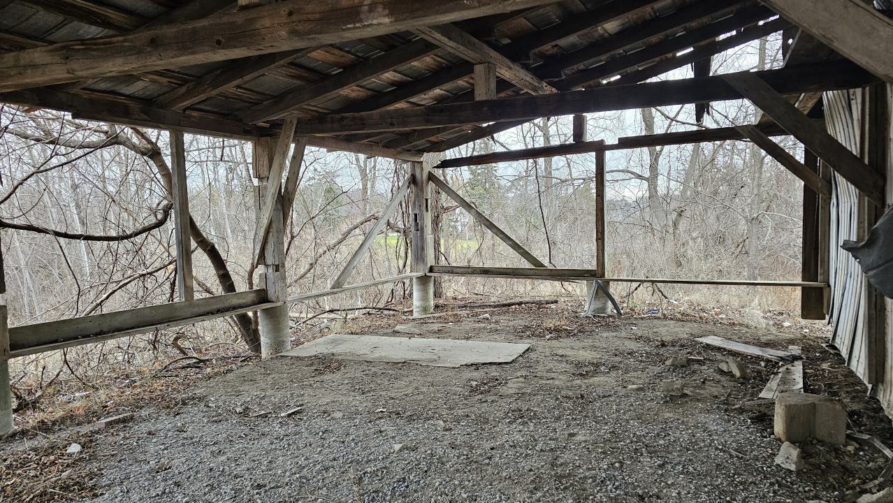 Rusty McCrusty - 1000007259.jpg