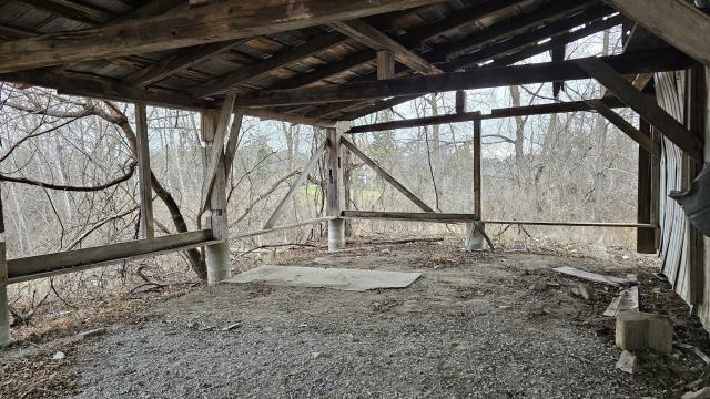 Rusty McCrusty - 1000007259.jpg