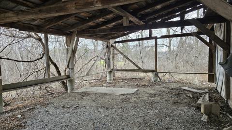 Rusty McCrusty - 1000007259.jpg