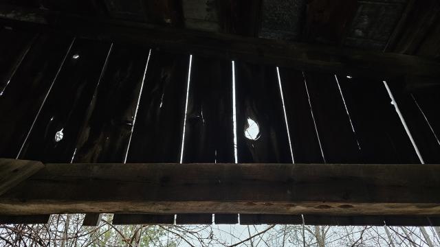 Rusty McCrusty - 1000007257.jpg