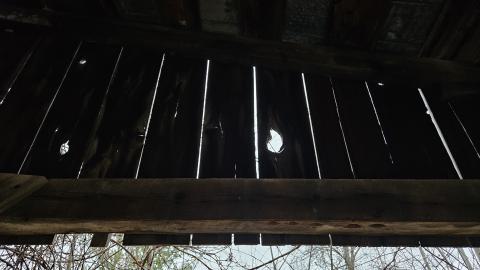 Rusty McCrusty - 1000007257.jpg