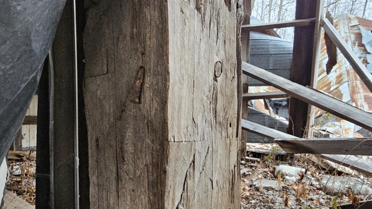 Rusty McCrusty - 1000007256.jpg