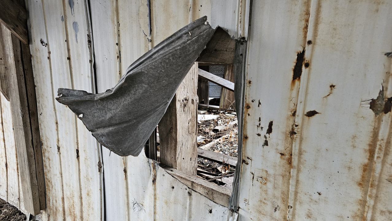 Rusty McCrusty - 1000007253.jpg