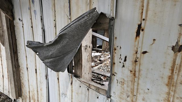 Rusty McCrusty - 1000007253.jpg