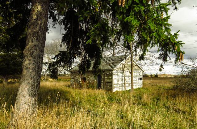 INCO-Owned - IMG_4702-2XXX.jpg