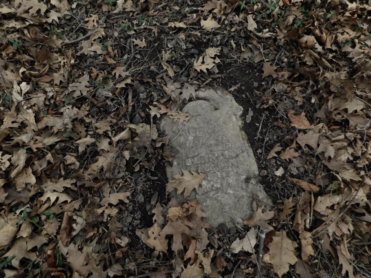 April 7 2025 - alice.JPG