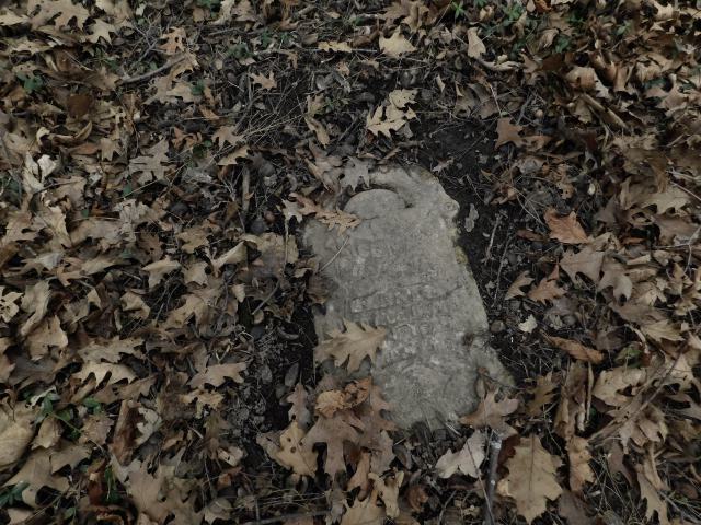 April 7 2025 - alice.JPG