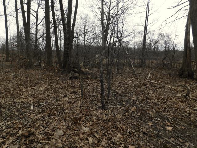 April 7 2025 - cemetery.JPG