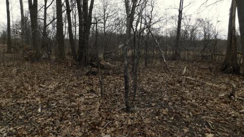 Street Family Cemetery cover photo