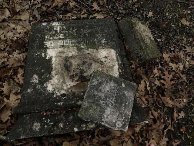 April 7 2025 - gravestones.JPG